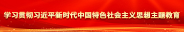 少萝自慰网学习贯彻习近平新时代中国特色社会主义思想主题教育